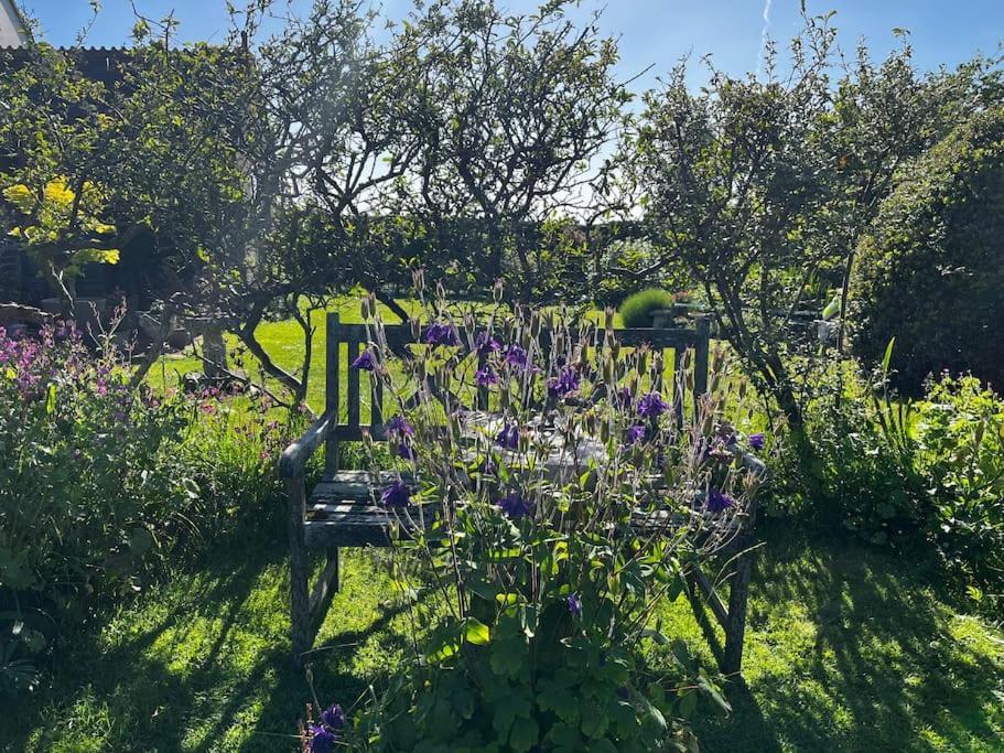 Byre - Farm Cottage On 9 Acre Equestrian Small Holding ソールズベリー エクステリア 写真