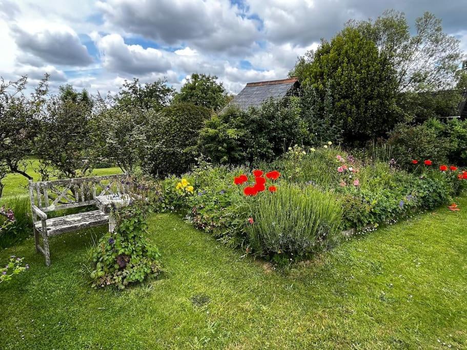 Byre - Farm Cottage On 9 Acre Equestrian Small Holding ソールズベリー エクステリア 写真